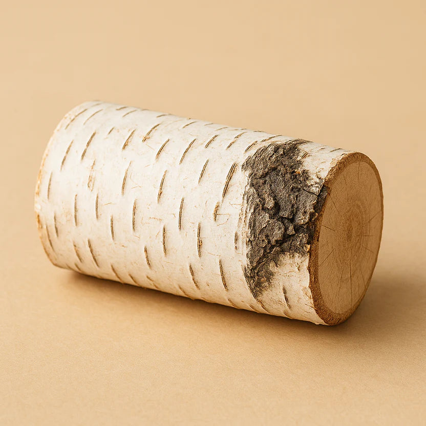 Extrakt z bílé břízy (Betula alba) - 100 mg