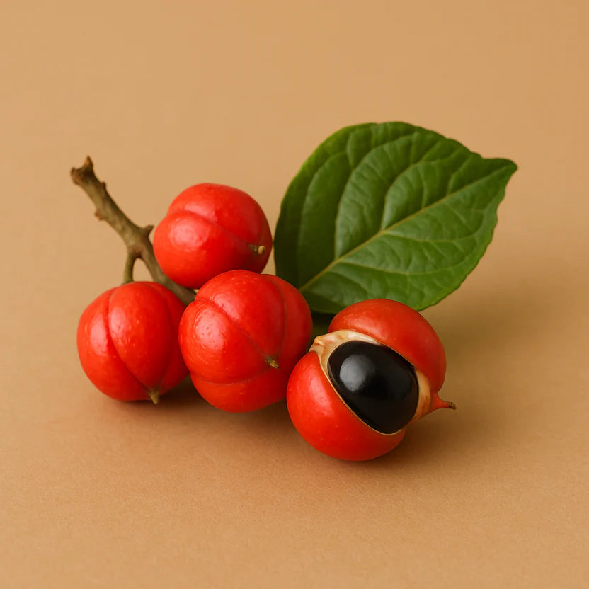 Extrakt z guarany (Paullinia cupana) - 50 mg