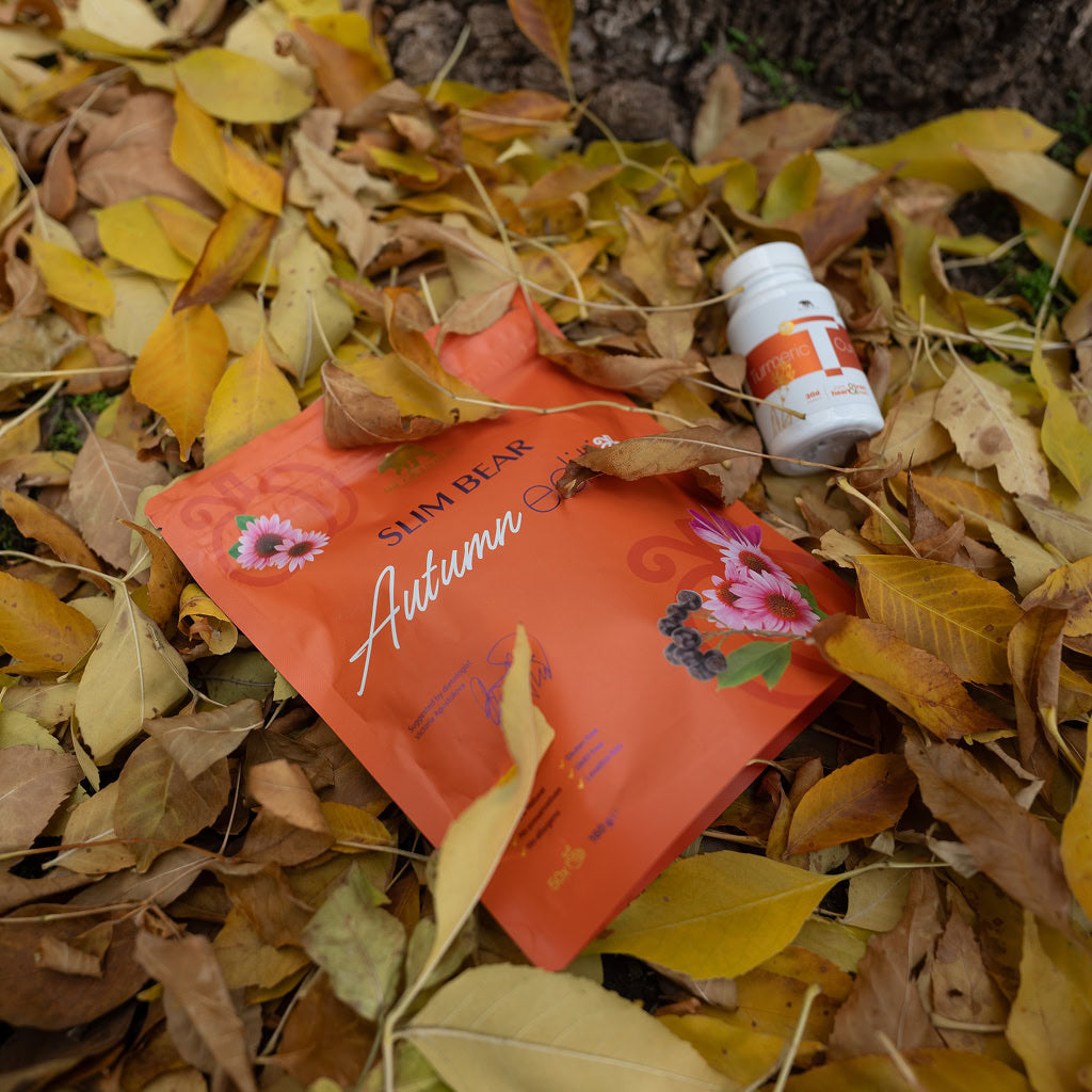 Slim Bear Autumn Edition и бурканче сред есенни листа